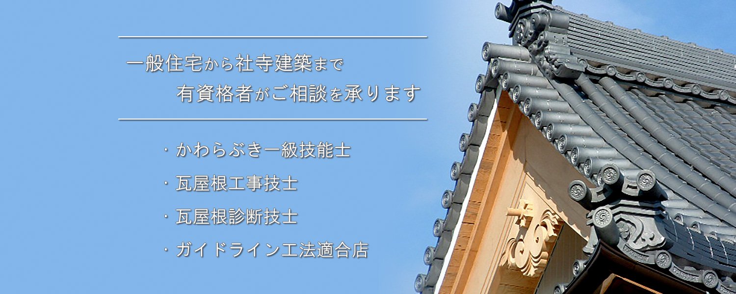 �����̐V�z�E�C���E�_���E�ϐk�⋭�Ȃ�